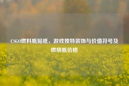 CSGO燃料瓶贴纸,游戏独特装饰与价值符号及燃烧瓶价格