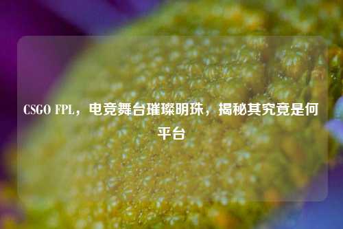 CSGO FPL，电竞舞台璀璨明珠，揭秘其究竟是何平台