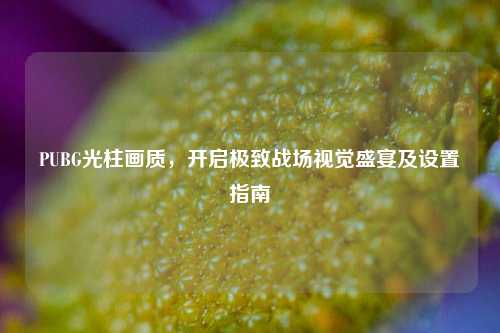 PUBG光柱画质,开启极致战场视觉盛宴及设置指南