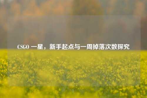 CSGO 一星,新手起点与一周掉落次数探究