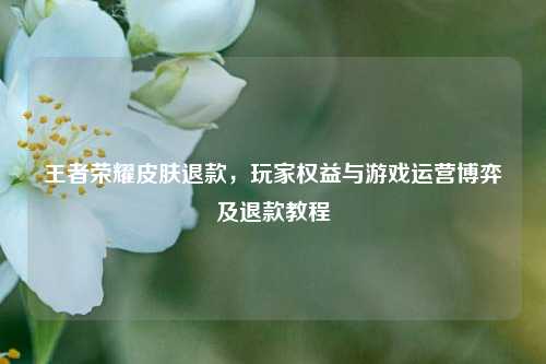 王者荣耀皮肤退款,玩家权益与游戏运营博弈及退款教程