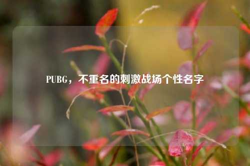 PUBG,不重名的刺激战场个性名字