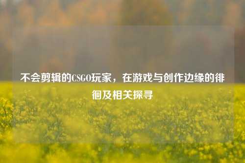 不会剪辑的CSGO玩家,在游戏与创作边缘的徘徊及相关探寻