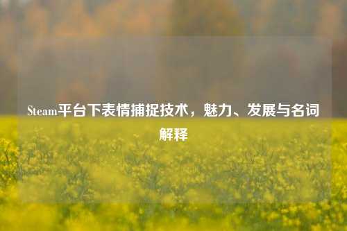 Steam平台下表情捕捉技术,魅力、发展与名词解释