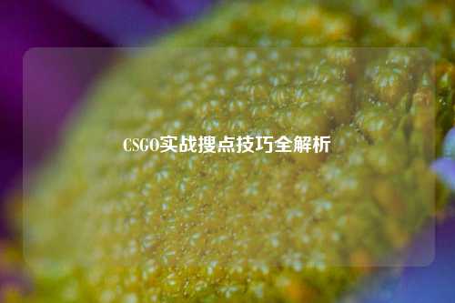 CSGO实战搜点技巧全解析