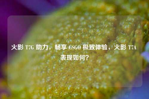 火影 T7G 助力,畅享 CSGO 极致体验,火影 T7A 表现如何?