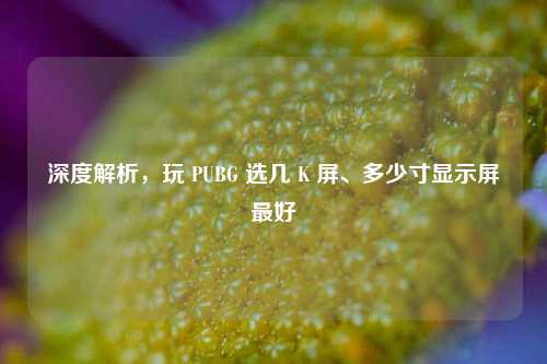 深度解析,玩 PUBG 选几 K 屏、多少寸显示屏最好