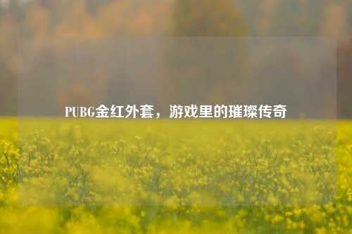 PUBG金红外套,游戏里的璀璨传奇