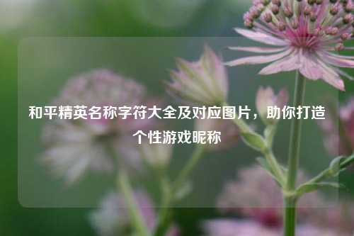 和平精英名称字符大全及对应图片,助你打造个性游戏昵称
