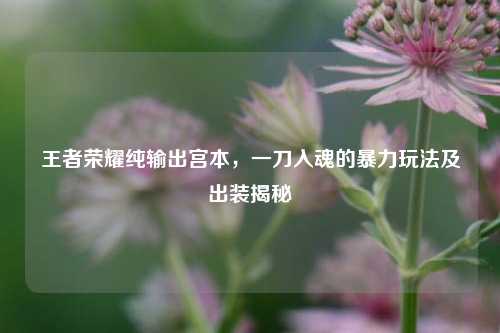 王者荣耀纯输出宫本，一刀入魂的暴力玩法及出装揭秘
