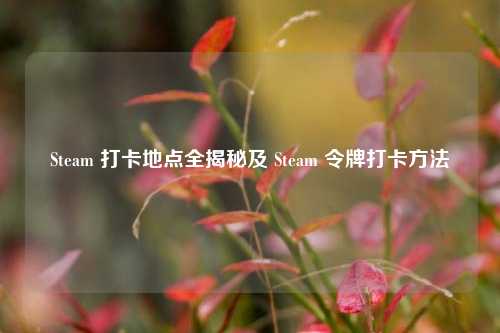 Steam 打卡地点全揭秘及 Steam 令牌打卡方法