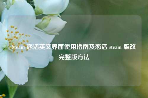 Steam 恋活英文界面使用指南及恋活 steam 版改完整版方法
