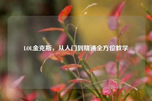 LOL金克斯,从入门到精通全方位教学