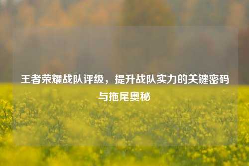 王者荣耀战队评级,提升战队实力的关键密码与拖尾奥秘