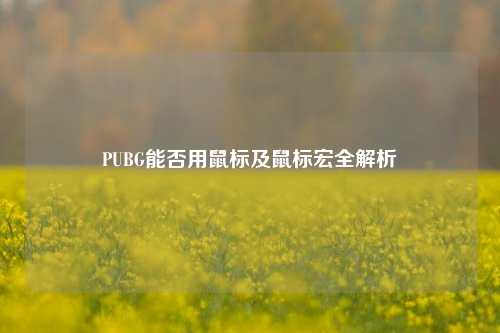 PUBG能否用鼠标及鼠标宏全解析