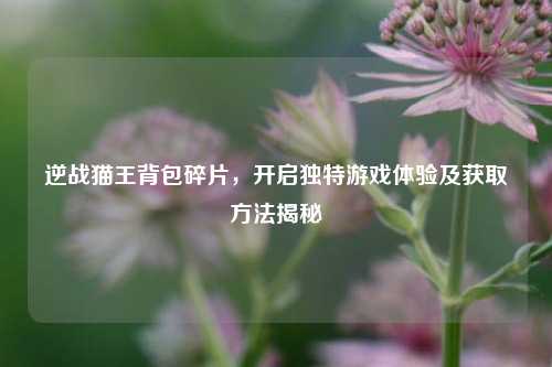 逆战猫王背包碎片,开启独特游戏体验及获取方法揭秘