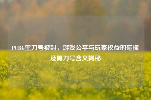 PUBG黑刀号被封,游戏公平与玩家权益的碰撞及黑刀号含义揭秘