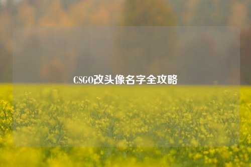 CSGO改头像名字全攻略