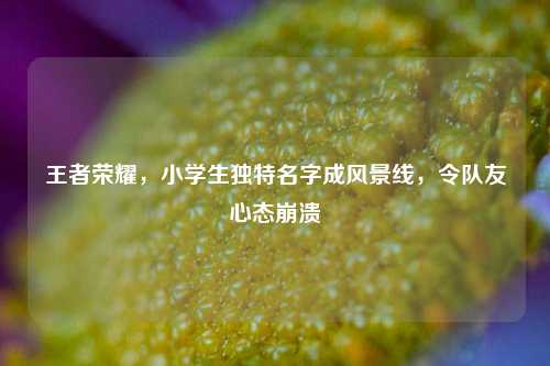 王者荣耀，小学生独特名字成风景线，令队友心态崩溃