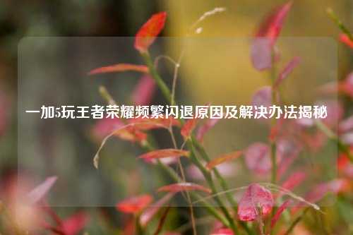 一加5玩王者荣耀频繁闪退原因及解决办法揭秘