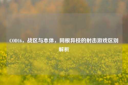COD16,战区与本体,同根异枝的射击游戏区别解析