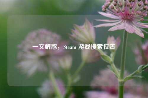 一文解惑,Steam 游戏搜索位置