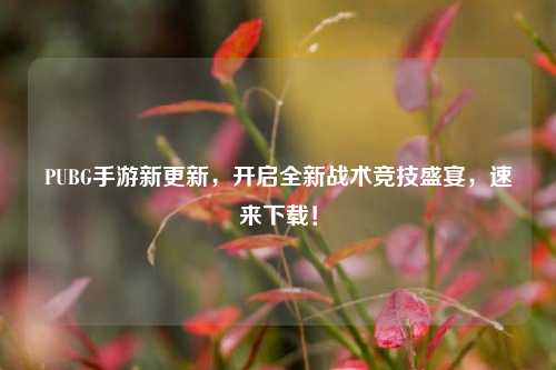 PUBG手游新更新,开启全新战术竞技盛宴,速来下载!