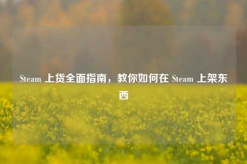 Steam 上货全面指南，教你如何在 Steam 上架东西