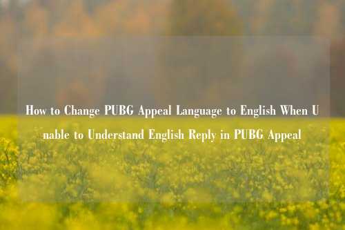 How to Change PUBG Appeal Language to English When Unable to Understand English Reply in PUBG Appeal