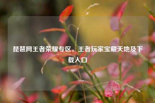 琵琶网王者荣耀专区,王者玩家宝藏天地及下载入口