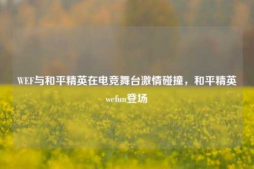 WEF与和平精英在电竞舞台激情碰撞,和平精英wefun登场