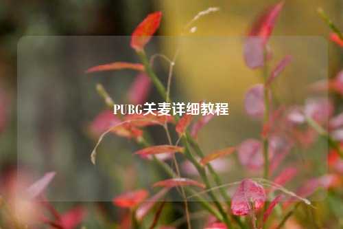PUBG关麦详细教程