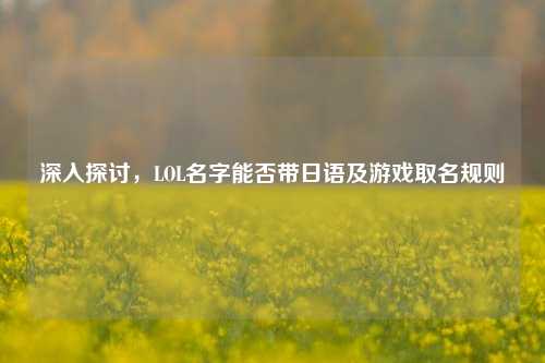 深入探讨,LOL名字能否带日语及游戏取名规则