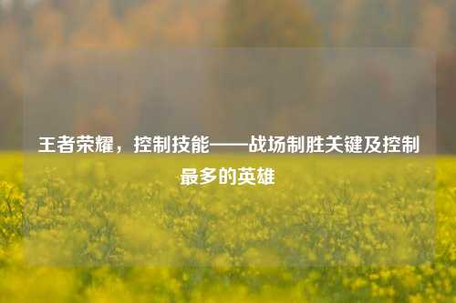 王者荣耀，控制技能——战场制胜关键及控制最多的英雄