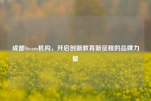 成都Steam机构，开启创新教育新征程的品牌力量