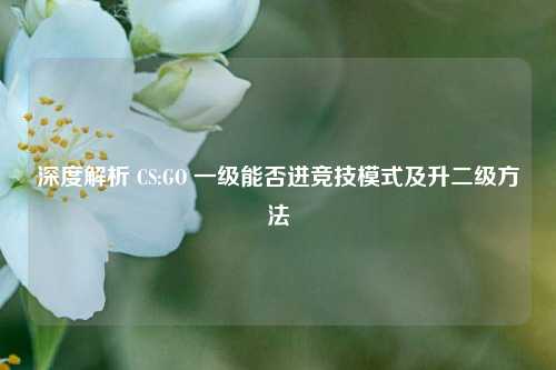深度解析 CS:GO 一级能否进竞技模式及升二级方法