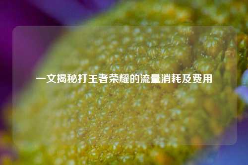 一文揭秘打王者荣耀的流量消耗及费用