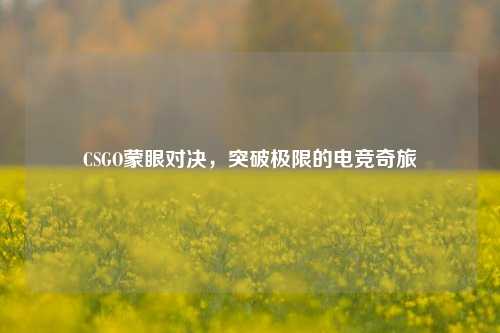 CSGO蒙眼对决,突破极限的电竞奇旅
