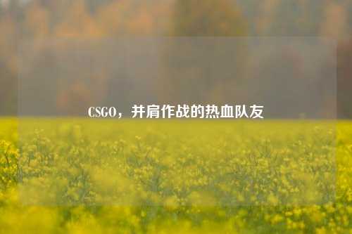 CSGO,并肩作战的热血队友