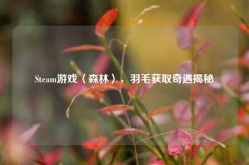 Steam游戏〈森林〉，羽毛获取奇遇揭秘