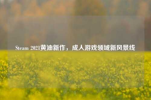 Steam 2021黄油新作,成人游戏领域新风景线