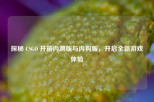 探秘 CSGO 开箱内测版与内购版,开启全新游戏体验
