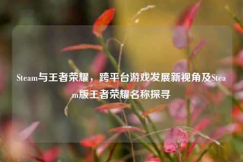 Steam与王者荣耀,跨平台游戏发展新视角及Steam版王者荣耀名称探寻