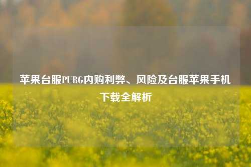 苹果台服PUBG内购利弊、风险及台服苹果手机下载全解析