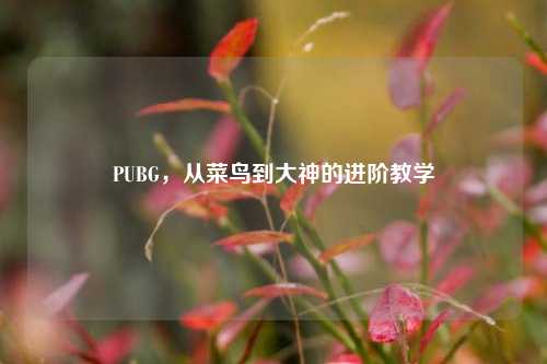 PUBG,从菜鸟到大神的进阶教学