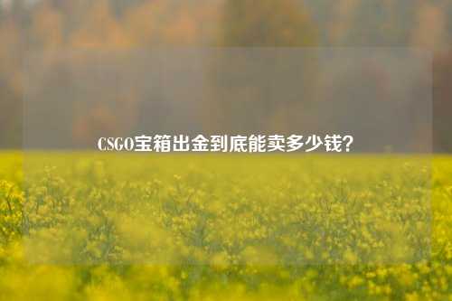 CSGO宝箱出金到底能卖多少钱？