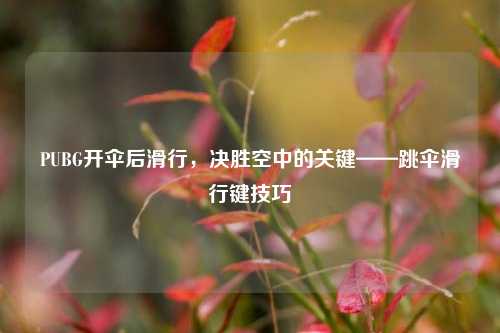 PUBG开伞后滑行,决胜空中的关键——跳伞滑行键技巧