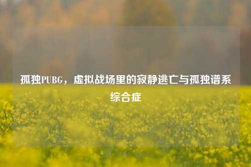 孤独PUBG,虚拟战场里的寂静逃亡与孤独谱系综合症