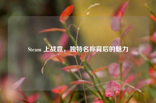 Steam 上战意，独特名称背后的魅力