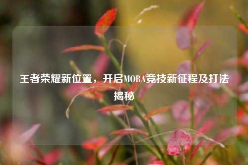 王者荣耀新位置,开启MOBA竞技新征程及打法揭秘